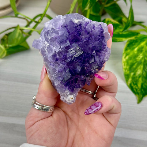Cubic Purple Fluorite Specimen F 6 - Kenna's Crystals from TikTok