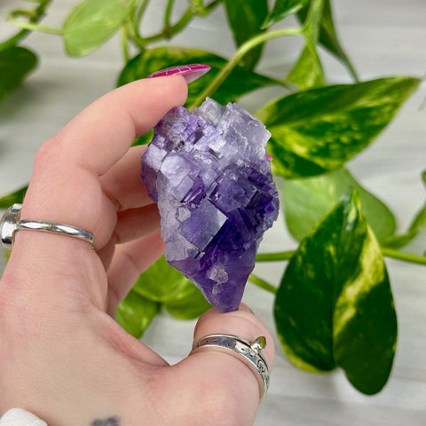 Cubic Purple Fluorite Specimen F2 32 - Kenna's Crystals from TikTok