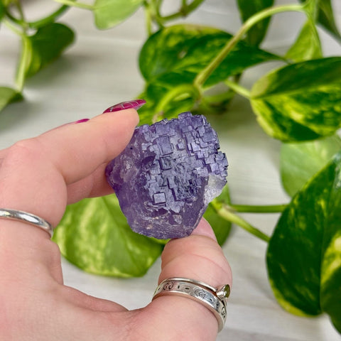 Cubic Purple Fluorite Specimen F3 58 - Kenna's Crystals from TikTok