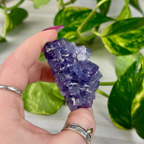 Cubic Purple Fluorite Specimen G3 59 - Kenna's Crystals from TikTok