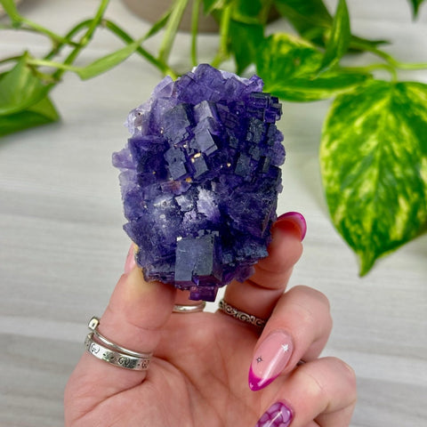 Cubic Purple Fluorite Specimen H 8 - Kenna's Crystals from TikTok