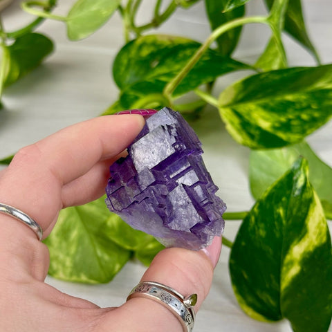 Cubic Purple Fluorite Specimen I3 61 - Kenna's Crystals from TikTok