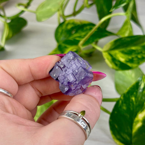 Cubic Purple Fluorite Specimen I4 87 - Kenna's Crystals from TikTok