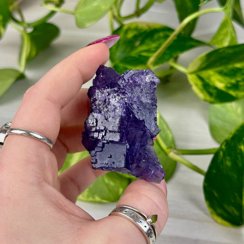 Cubic Purple Fluorite Specimen J3 62 - Kenna's Crystals from TikTok