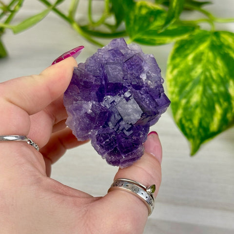 Cubic Purple Fluorite Specimen K 11 - Kenna's Crystals from TikTok