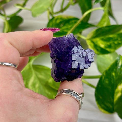 Cubic Purple Fluorite Specimen K3 63 - Kenna's Crystals from TikTok