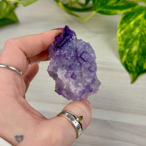 Cubic Purple Fluorite Specimen L 12 - Kenna's Crystals from TikTok