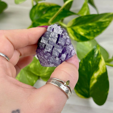 Cubic Purple Fluorite Specimen L3 64 - Kenna's Crystals from TikTok