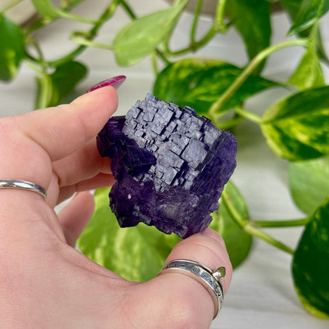 Cubic Purple Fluorite Specimen M2 39 - Kenna's Crystals from TikTok
