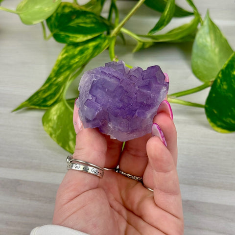 Cubic Purple Fluorite Specimen N 14 - Kenna's Crystals from TikTok