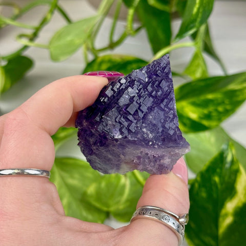 Cubic Purple Fluorite Specimen N2 40 - Kenna's Crystals from TikTok