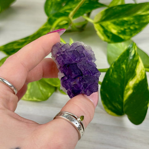 Cubic Purple Fluorite Specimen N3 66 - Kenna's Crystals from TikTok