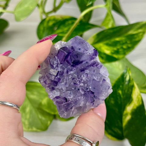 Cubic Purple Fluorite Specimen O2 41 - Kenna's Crystals from TikTok