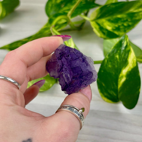 Cubic Purple Fluorite Specimen O3 67 - Kenna's Crystals from TikTok