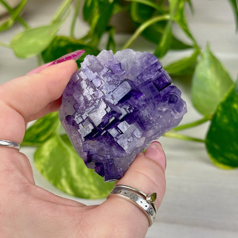 Cubic Purple Fluorite Specimen P 16 - Kenna's Crystals from TikTok