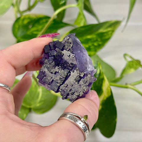 Cubic Purple Fluorite Specimen P2 42 - Kenna's Crystals from TikTok