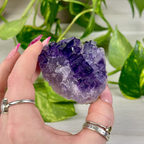 Cubic Purple Fluorite Specimen Q 17 - Kenna's Crystals from TikTok