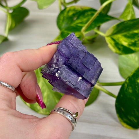 Cubic Purple Fluorite Specimen Q2 43 - Kenna's Crystals from TikTok