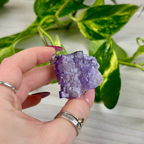 Cubic Purple Fluorite Specimen Q3 69 - Kenna's Crystals from TikTok