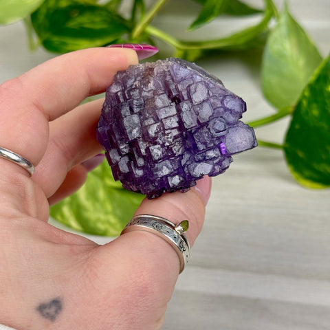 Cubic Purple Fluorite Specimen S 19 - Kenna's Crystals from TikTok