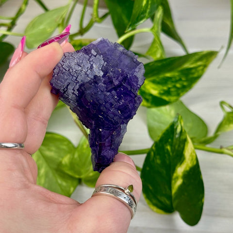 Cubic Purple Fluorite Specimen S2 45 - Kenna's Crystals from TikTok