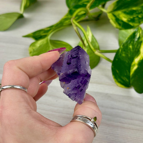 Cubic Purple Fluorite Specimen S3 71 - Kenna's Crystals from TikTok