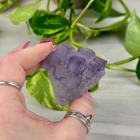 Cubic Purple Fluorite Specimen T 20 - Kenna's Crystals from TikTok