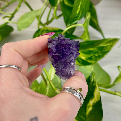 Cubic Purple Fluorite Specimen T3 72 - Kenna's Crystals from TikTok