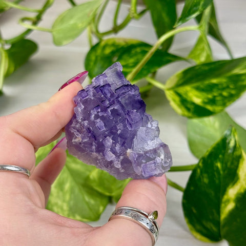 Cubic Purple Fluorite Specimen U2 47 - Kenna's Crystals from TikTok