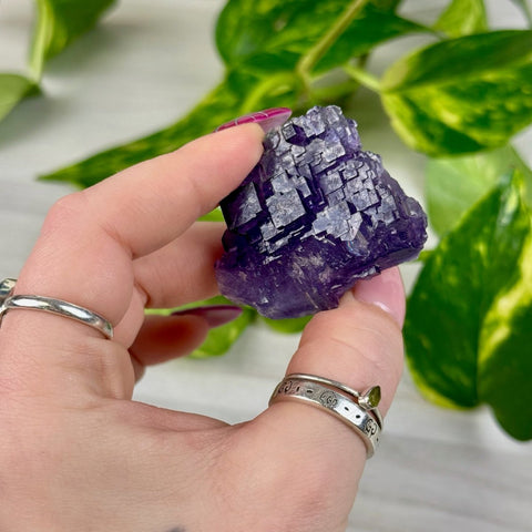 Cubic Purple Fluorite Specimen U3 73 - Kenna's Crystals from TikTok