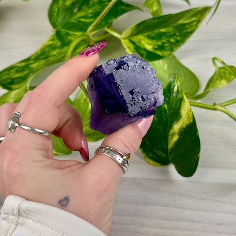 Cubic Purple Fluorite Specimen V 22 - Kenna's Crystals from TikTok