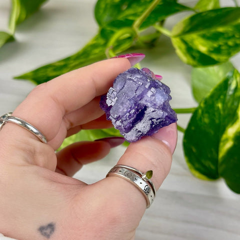 Cubic Purple Fluorite Specimen V3 74 - Kenna's Crystals from TikTok
