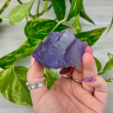Cubic Purple Fluorite Specimen W 23 - Kenna's Crystals from TikTok
