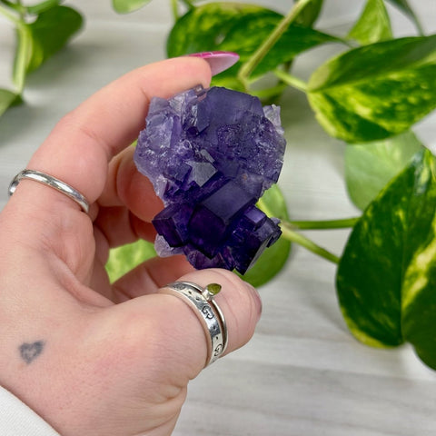 Cubic Purple Fluorite Specimen W2 49 - Kenna's Crystals from TikTok