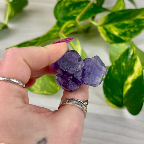 Cubic Purple Fluorite Specimen W3 75 - Kenna's Crystals from TikTok