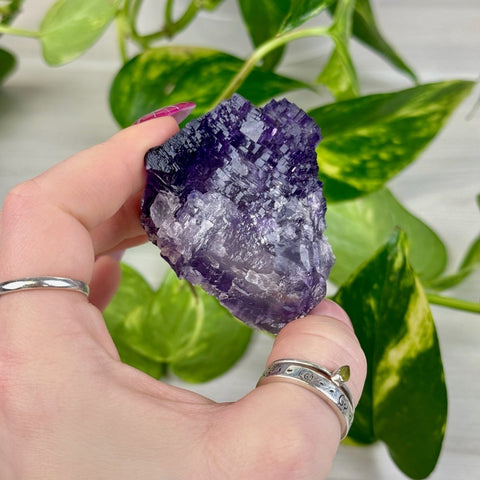 Cubic Purple Fluorite Specimen X 24 - Kenna's Crystals from TikTok
