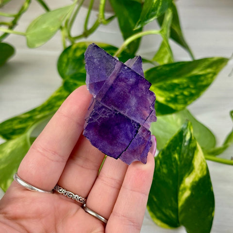 Cubic Purple Fluorite Specimen X2 50 - Kenna's Crystals from TikTok