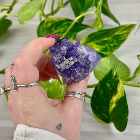 Cubic Purple Fluorite Specimen Y 25 - Kenna's Crystals from TikTok