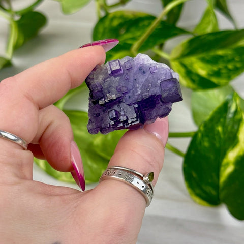 Cubic Purple Fluorite Specimen Y3 77 - Kenna's Crystals from TikTok