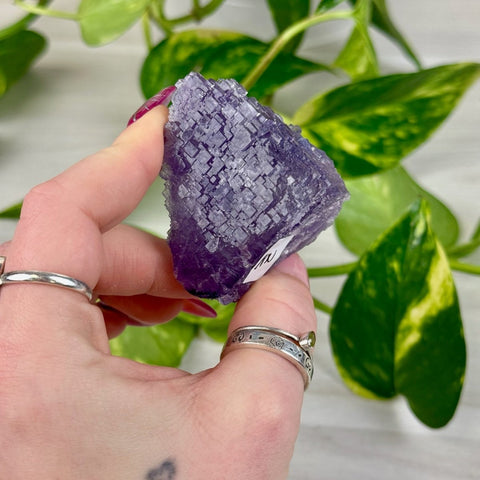 Cubic Purple Fluorite Specimen Z 26 - Kenna's Crystals from TikTok