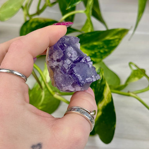 Cubic Purple Fluorite Specimen Z2 52 - Kenna's Crystals from TikTok