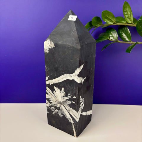 Cursed Chrysanthemum Tower - Kenna's Crystals