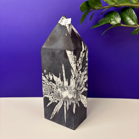 Cursed Chrysanthemum Tower - Kenna's Crystals