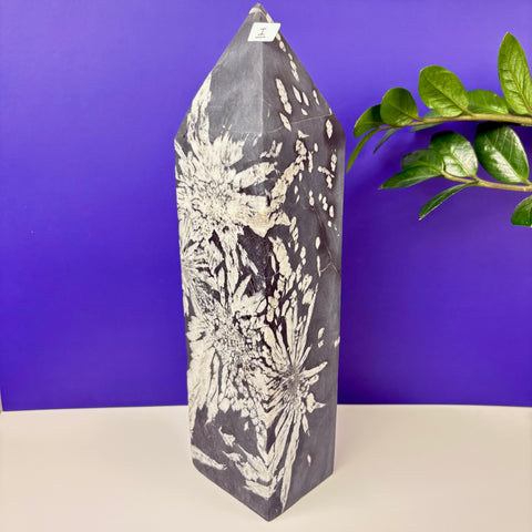 Cursed Chrysanthemum Tower - Kenna's Crystals