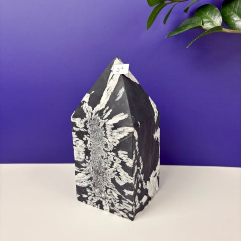 Cursed Chrysanthemum Tower - Kenna's Crystals