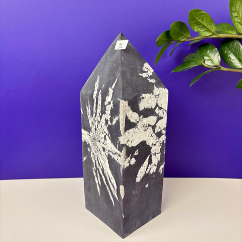 Cursed Chrysanthemum Tower - Kenna's Crystals