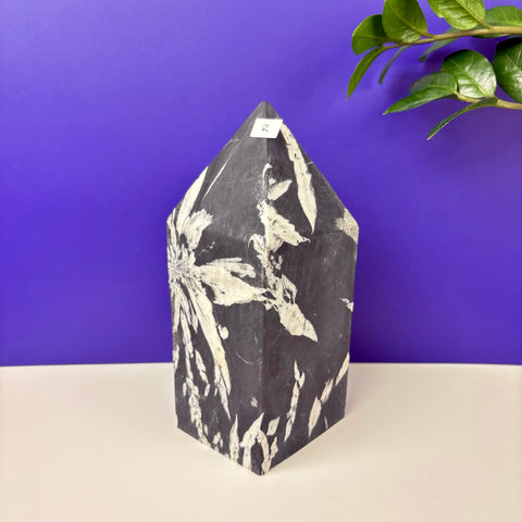 Cursed Chrysanthemum Tower - Kenna's Crystals