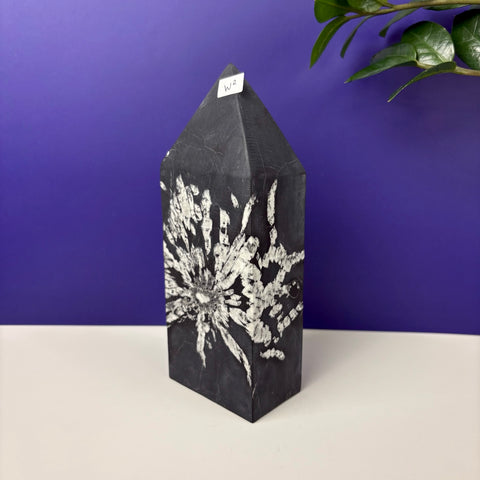 Cursed Chrysanthemum Tower - Kenna's Crystals