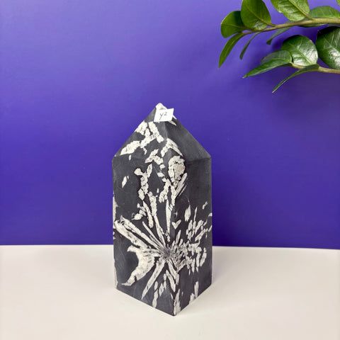 Cursed Chrysanthemum Tower - Kenna's Crystals