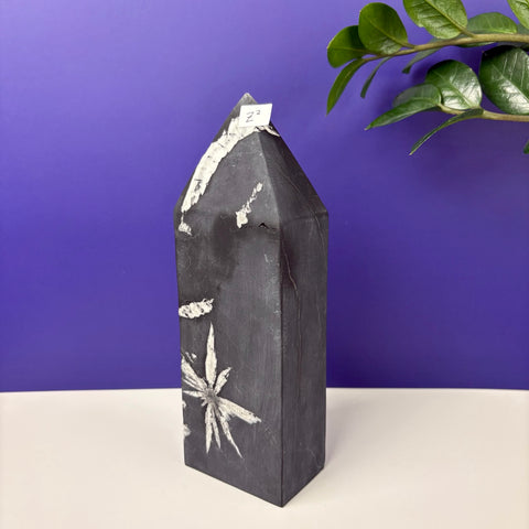 Cursed Chrysanthemum Tower - Kenna's Crystals